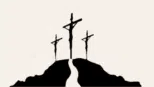 disciple contracting logo small